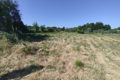 /international/pt/viseu-viseu-310100640426/