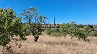 /international/pt/estombar-lagoa-faro-310108927184/