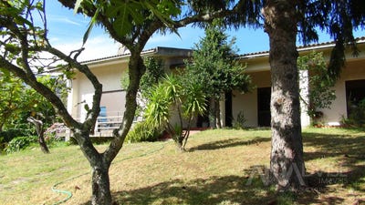 /international/pt/viseu-viseu-310104983199/