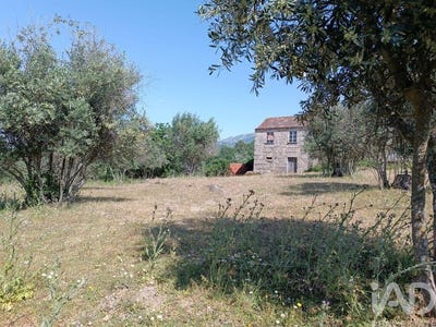 /international/pt/guarda-guarda-120086292411/