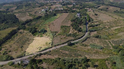 /international/pt/rolica-leiria-310101415107/?lang=zh-cn