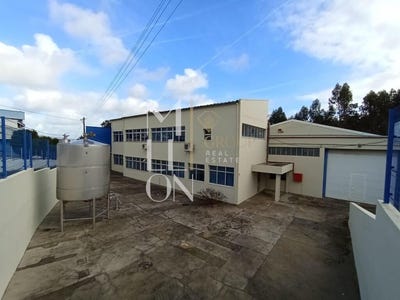 /international/pt/pedroso-porto-310106822260/