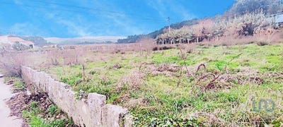 /international/pt/viana-do-castelo-viana-do-castelo-310098635808/