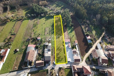 /international/pt/oliveira-do-bairro-aveiro-120073955755/