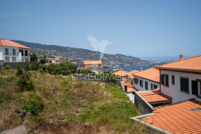 /international/pt/gaula-santa-cruz-madeira-310101326002/?lang=en