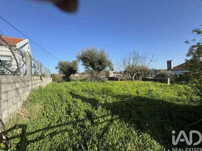 /international/pt/santarem-santarem-310107640542/