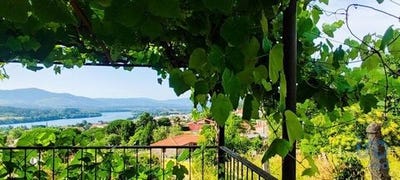 /international/pt/vila-nova-de-cerveira-viana-do-castelo-120096542154/