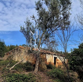 /international/pt/sao-teotonio-beja-310107357959/