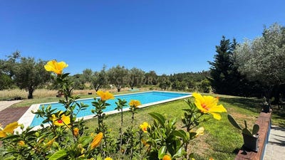 /international/pt/rua-de-sao-torcato-coruche-portugal-coruche-santarem-310108403064/