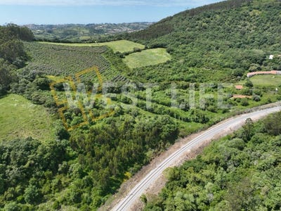 /international/pt/malveira-e-sao-miguel-de-alcainca-lisbon-310100827893/