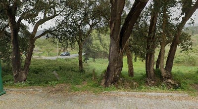 /international/pt/viana-do-castelo-viana-do-castelo-310109017379/