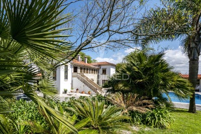 /international/pt/darque-viana-do-castelo-viana-do-castelo-310107703283/