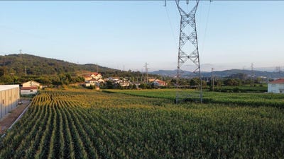 /international/pt/ponte-braga-310094759765/