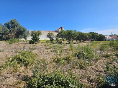 /international/pt/palmela-setubal-municipality-310101208602/?lang=en