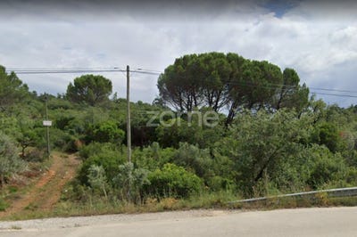 /international/pt/ansiao-leiria-310097924215/?lang=en