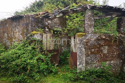 /international/pt/vila-verde-braga-310093878698/?lang=zh-cn