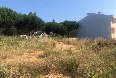 /international/pt/espinho-castelo-branco-310106775573/