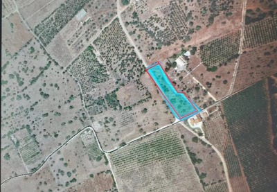/international/pt/silves-faro-310100665152/