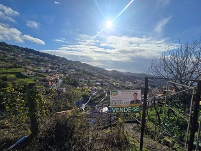 /international/pt/camara-de-lobos-madeira-310098735980/