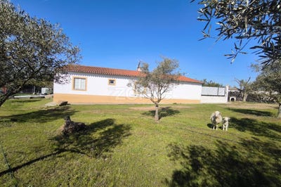 /international/pt/cuba-santarem-310098536178/
