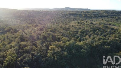 /international/pt/santarem-santarem-310105650949/