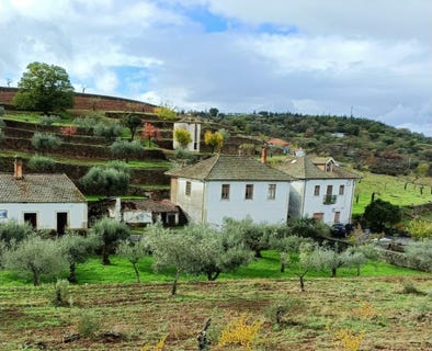 /international/pt/touca-viseu-310106687693/