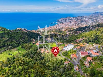 /international/pt/funchal-madeira-310107359281/