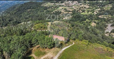 /international/pt/terras-de-bouro-braga-310101470036/