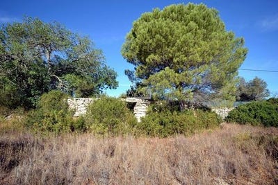 /international/pt/loule-faro-310103246178/