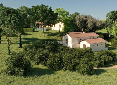 /international/pt/cercal-setubal-municipality-310100668487/