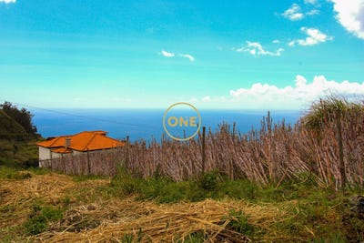 /international/pt/canhas-madeira-310108210931/