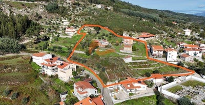 /international/pt/avo-coimbra-310108138615/