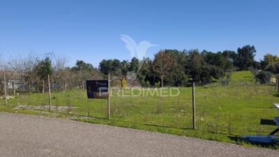 /international/pt/santa-margarida-da-coutada-constancia-santarem-310108372286/