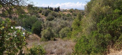 /international/pt/paderne-viana-do-castelo-310098113968/