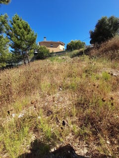 /international/pt/sesimbra-setubal-municipality-310097672825/