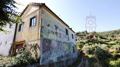 /international/pt/arrifana-braga-310100557032/