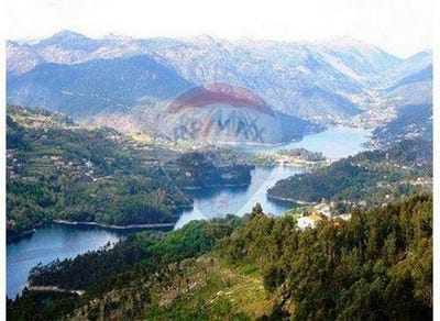 /international/pt/terras-de-bouro-braga-310106288019/