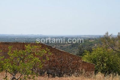 /international/pt/albufeira-faro-120096362177/