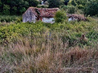 /international/pt/a-dos-negros-leiria-310102861596/