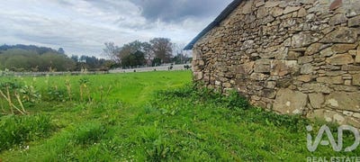 /international/pt/viana-do-castelo-viana-do-castelo-310109146596/