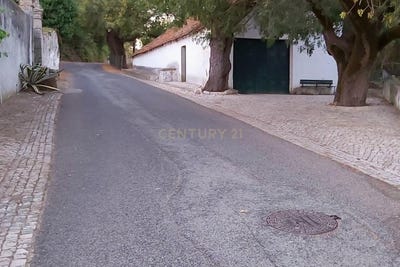/international/pt/carnota-lisbon-310097949234/