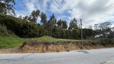 /international/pt/vila-nova-de-gaia-porto-310108892636/