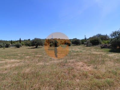 /international/pt/estoi-faro-310105010629/