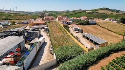 /international/pt/rua-das-flores-ventosa-portugal-ventosa-lisbon-310101077681/