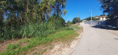 /international/pt/r-da-bela-vista-14-2460-maiorga-portugal-maiorga-leiria-310103452197/