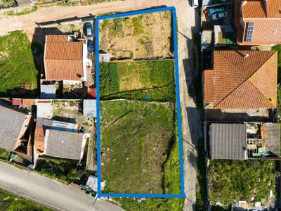 /international/pt/cabra-figa-rio-de-mouro-portugal-rio-de-mouro-lisbon-310107361330/