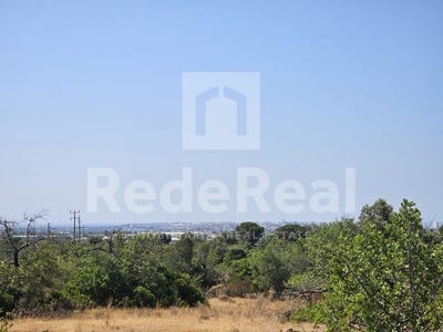 /international/pt/santa-barbara-de-nexe-faro-310101036681/?lang=en