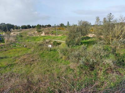 /international/pt/estrada-vale-da-rosa-45-2910-845-setubal-portugal-setubal-sao-sebastiao-setubal-municipality-310108399900/