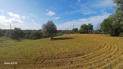 /international/pt/vale-gama-torres-novas-sao-pedro-santarem-310096476578/