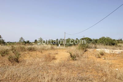 /international/pt/silves-faro-310107360648/
